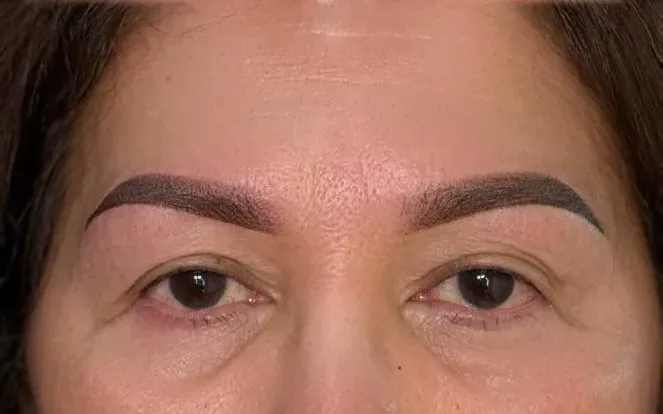 Powder brows after treatment